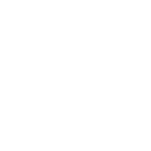 WhatsApp Icon